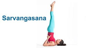 Shoulder Stand Pose (Sarvangasana)