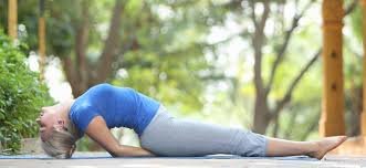 The Fish Pose (Matsyasana)