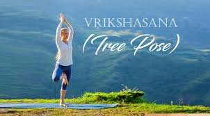 tree pose