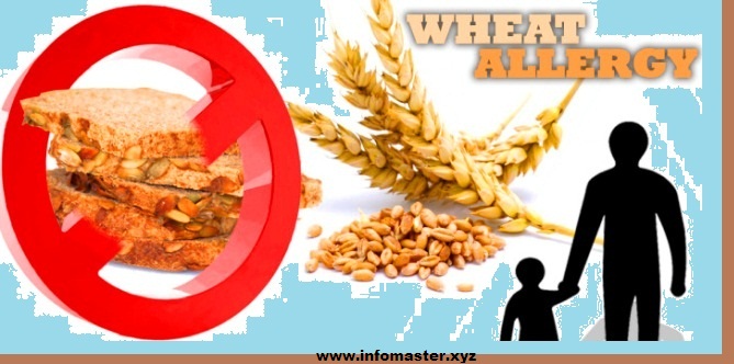 Wheat-Allergy