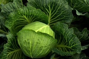 Green vegetable for glowing and healthy skin