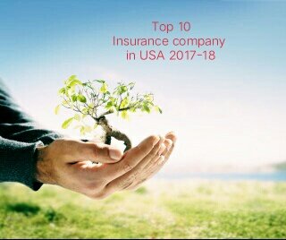 Top 10 Insurance Companies in USA 2017-2018