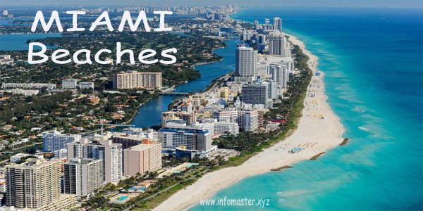 Top 5 Best Beaches of Miami to visit