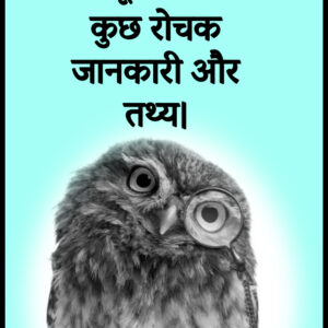Copy of Owl poster Black and white - Made with PosterMyWall (1)