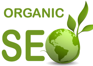 Organic SEO helps in getting ranking
