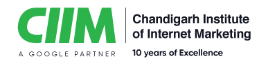 Chandigarh Institute of internet marketing banner