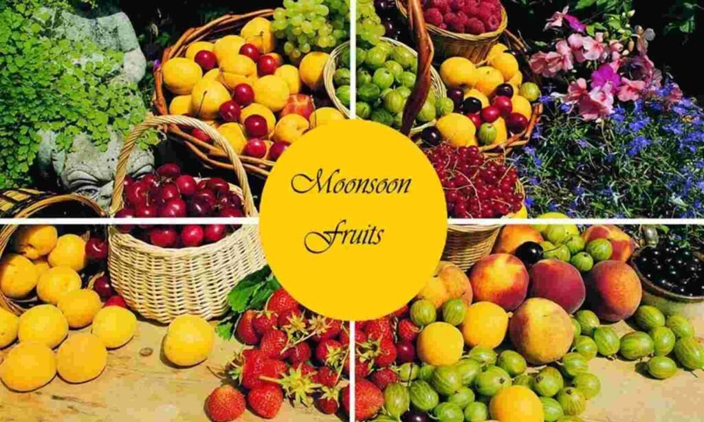 Rainy Season Fruits