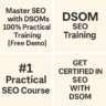 DSOM SEO Traning